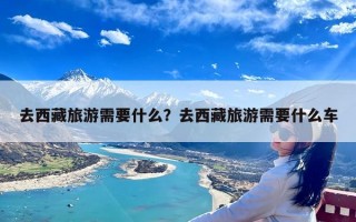 去西藏旅游需要什么？去西藏旅游需要什么车