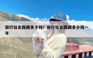 旅行社去西藏多少钱？旅行社去西藏多少钱一年