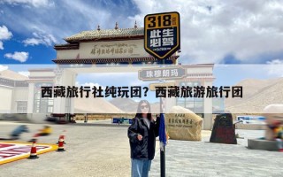 西藏旅行社纯玩团？西藏旅游旅行团