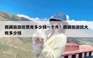 西藏旅游团费用多少钱一个月？西藏旅游团大概多少钱