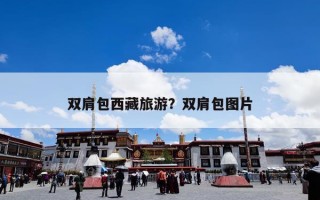 双肩包西藏旅游？双肩包图片