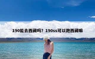 190能去西藏吗？190ss可以跑西藏嘛