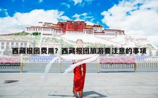 西藏报团费用？西藏报团旅游要注意的事项