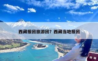 西藏报团旅游团？西藏当地报团