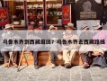 乌鲁木齐到西藏报团？乌鲁木齐去西藏路线