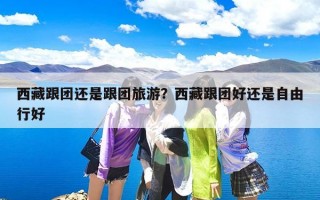 西藏跟团还是跟团旅游？西藏跟团好还是自由行好