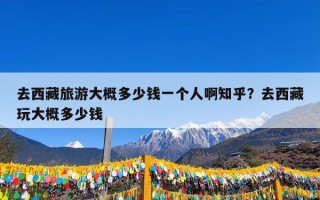 去西藏旅游大概多少钱一个人啊知乎？去西藏玩大概多少钱