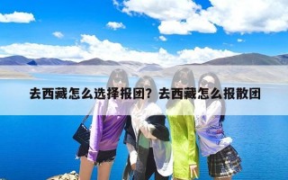 去西藏怎么选择报团？去西藏怎么报散团