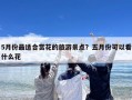 5月份最适合赏花的旅游景点？五月份可以看什么花