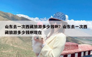 山东去一次西藏旅游多少钱啊？山东去一次西藏旅游多少钱啊现在