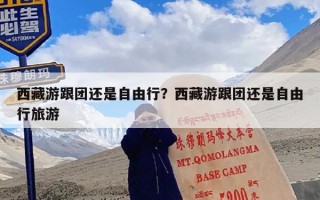 西藏游跟团还是自由行？西藏游跟团还是自由行旅游