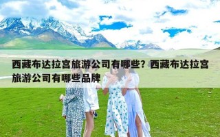 西藏布达拉宫旅游公司有哪些？西藏布达拉宫旅游公司有哪些品牌