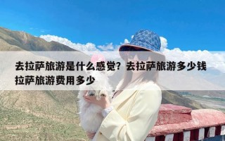 去拉萨旅游是什么感觉？去拉萨旅游多少钱 拉萨旅游费用多少