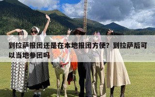 到拉萨报团还是在本地报团方便？到拉萨后可以当地参团吗