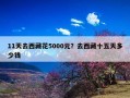 11天去西藏花5000元？去西藏十五天多少钱