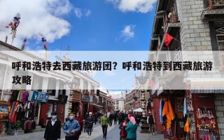 呼和浩特去西藏旅游团？呼和浩特到西藏旅游攻略