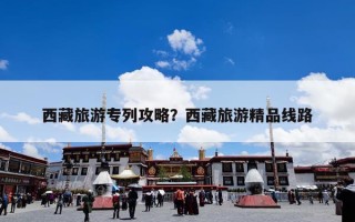 西藏旅游专列攻略？西藏旅游精品线路