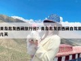 青岛出发西藏旅行团？青岛出发去西藏自驾需几天