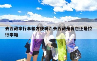 去西藏拿行李箱方便吗？去西藏是背包还是拉行李箱