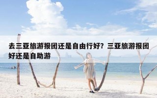 去三亚旅游报团还是自由行好？三亚旅游报团好还是自助游