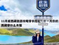 11月底西藏旅游攻略穿衣搭配？十一月份的西藏穿什么衣服