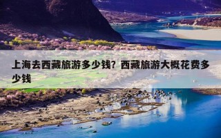 上海去西藏旅游多少钱？西藏旅游大概花费多少钱