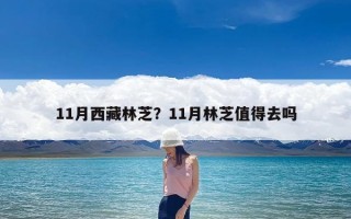 11月西藏林芝？11月林芝值得去吗