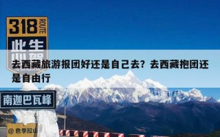 去西藏旅游报团好还是自己去？去西藏抱团还是自由行