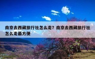 南京去西藏旅行社怎么走？南京去西藏旅行社怎么走最方便