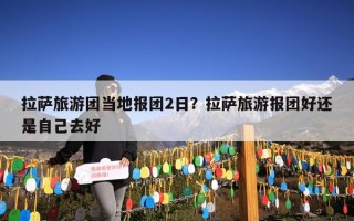 拉萨旅游团当地报团2日？拉萨旅游报团好还是自己去好