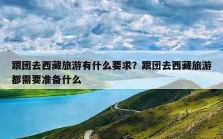 跟团去西藏旅游有什么要求？跟团去西藏旅游都需要准备什么