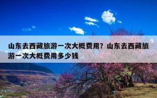 山东去西藏旅游一次大概费用？山东去西藏旅游一次大概费用多少钱