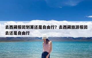 去西藏报团划算还是自由行？去西藏旅游报团去还是自由行