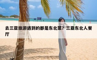 去三亚旅游遇到的都是东北菜？三亚东北人餐厅