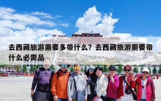 去西藏旅游需要多带什么？去西藏旅游需要带什么必需品