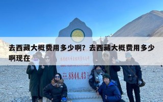 去西藏大概费用多少啊？去西藏大概费用多少啊现在