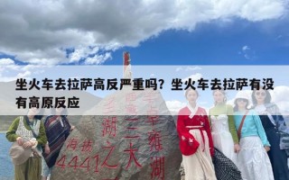 坐火车去拉萨高反严重吗？坐火车去拉萨有没有高原反应