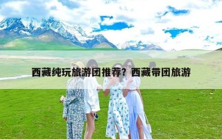 西藏纯玩旅游团推荐？西藏带团旅游