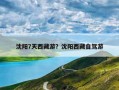 沈阳7天西藏游？沈阳西藏自驾游