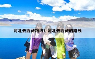 河北去西藏路线？河北去西藏的路线