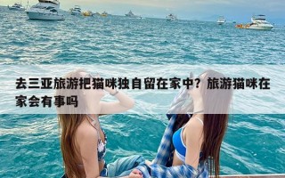 去三亚旅游把猫咪独自留在家中？旅游猫咪在家会有事吗