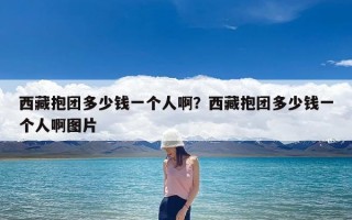 西藏抱团多少钱一个人啊？西藏抱团多少钱一个人啊图片