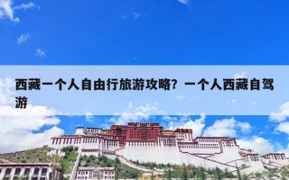 西藏一个人自由行旅游攻略？一个人西藏自驾游