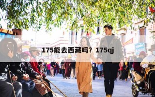 175能去西藏吗？175qj