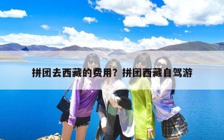 拼团去西藏的费用？拼团西藏自驾游