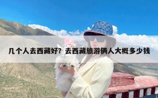 几个人去西藏好？去西藏旅游俩人大概多少钱