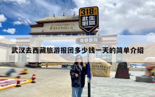 武汉去西藏旅游报团多少钱一天的简单介绍