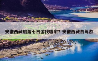 安徽西藏旅游七日游找哪家？安徽西藏自驾游