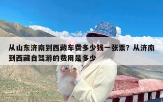 从山东济南到西藏车费多少钱一张票？从济南到西藏自驾游的费用是多少