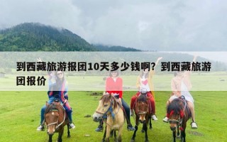 到西藏旅游报团10天多少钱啊？到西藏旅游团报价